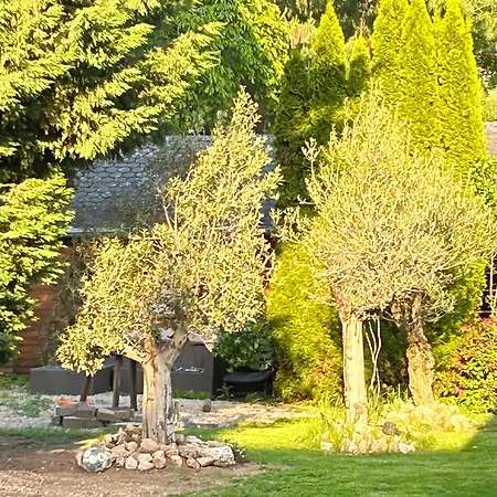 Romantiksuite *